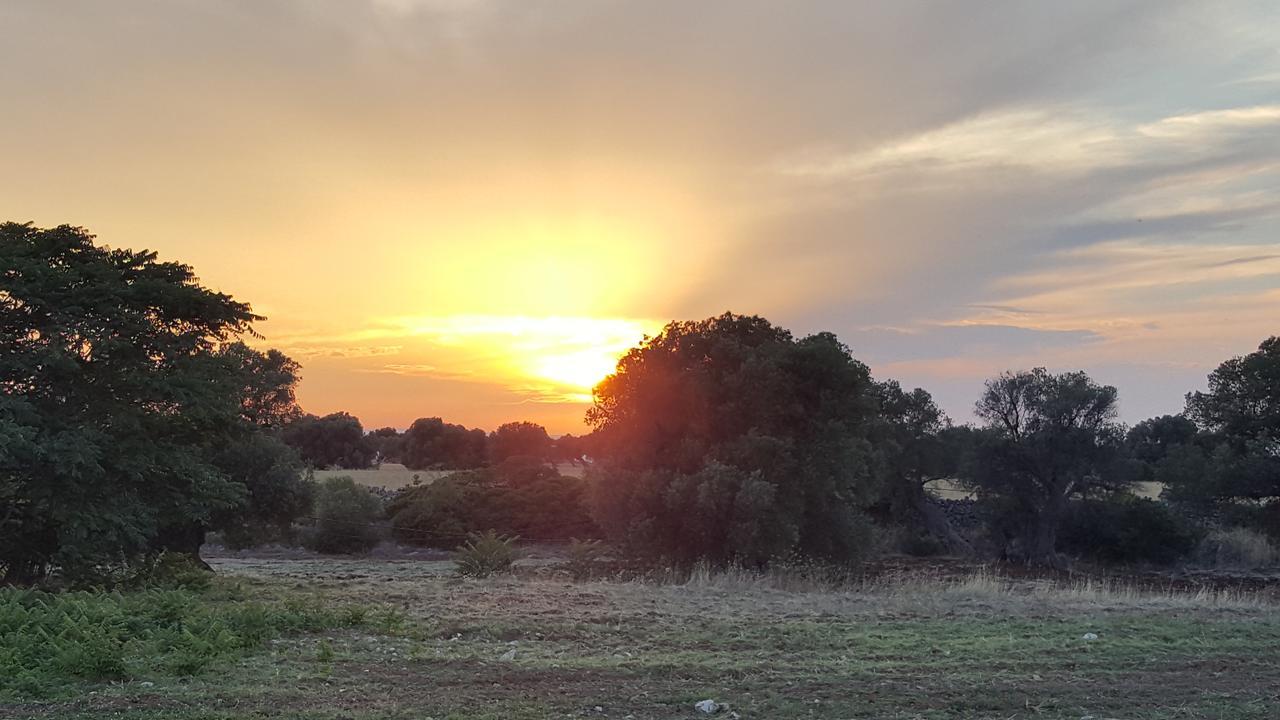 Masseria Palombara Grande オストゥーニ エクステリア 写真