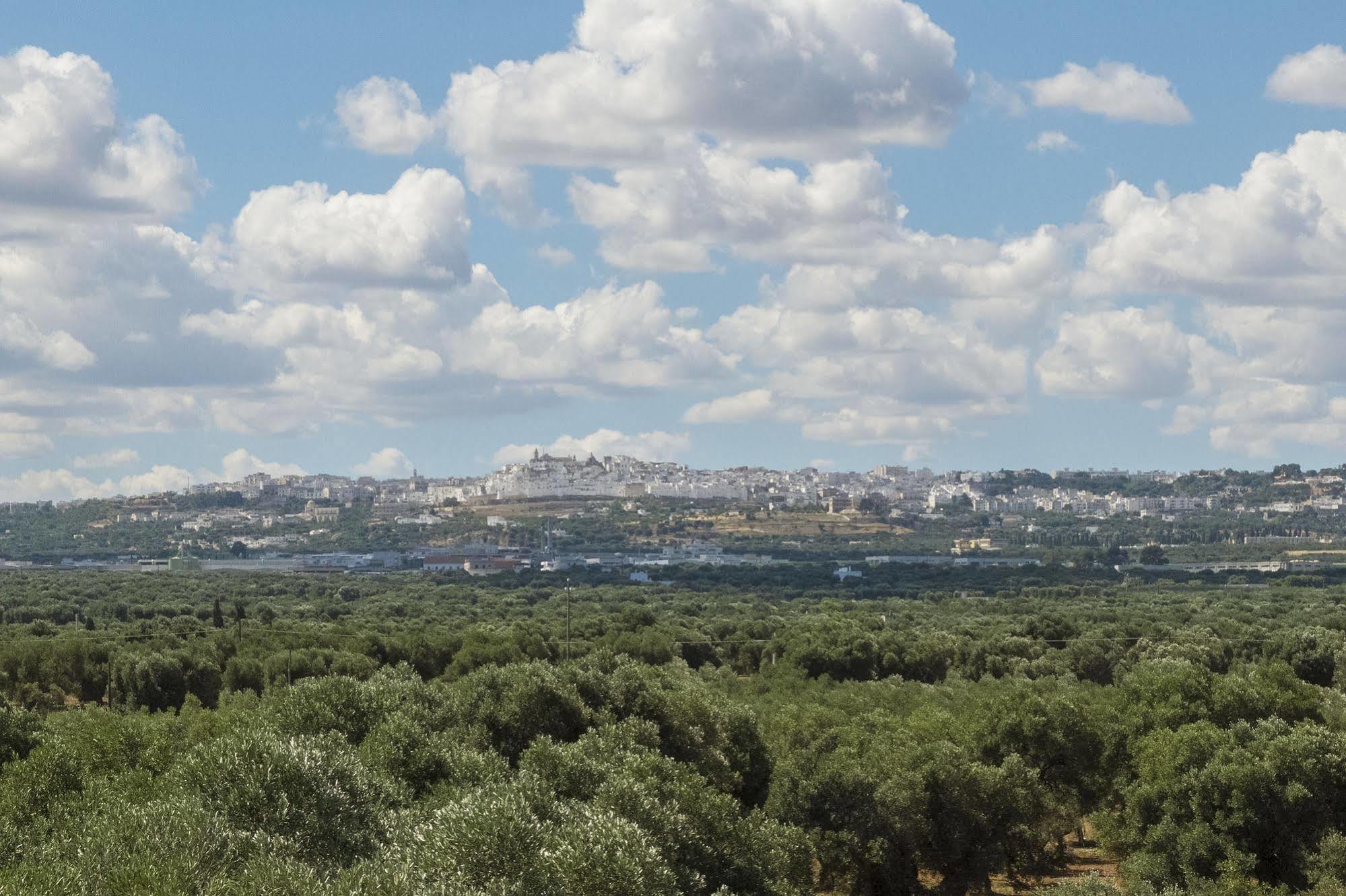 Masseria Palombara Grande オストゥーニ エクステリア 写真