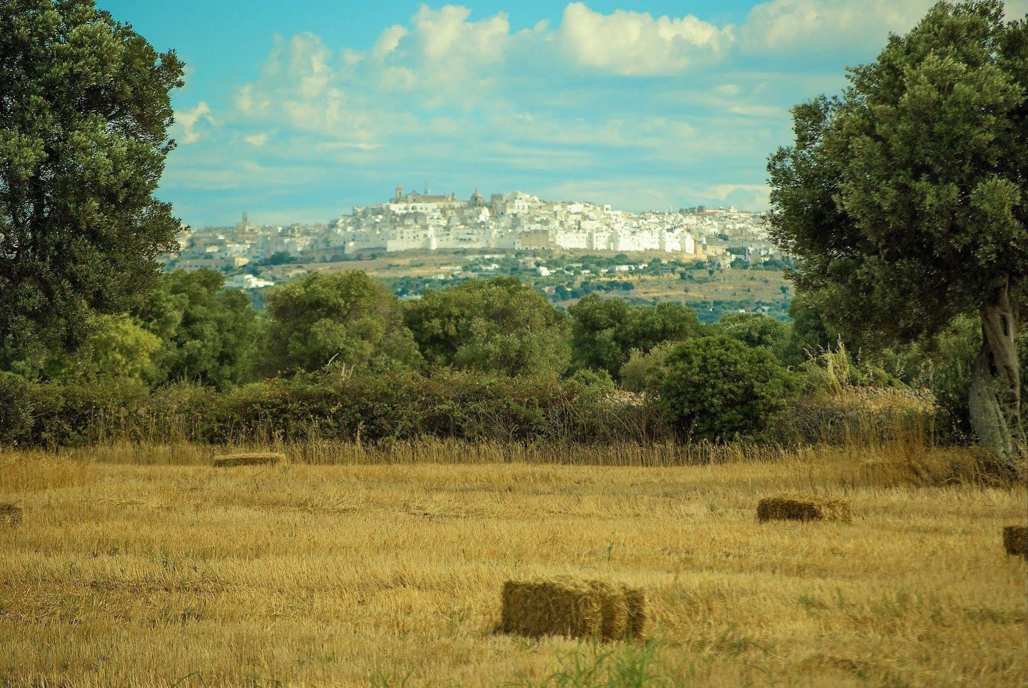 Masseria Palombara Grande オストゥーニ エクステリア 写真